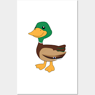 Mallard Duck Posters and Art